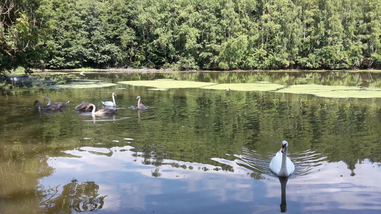 U Kapitana Lägenhet Radvánovice Exteriör bild